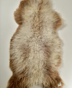 A brown and white bear skin rug on a wall.