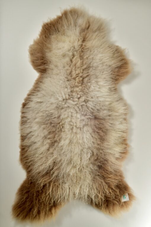 A brown and white bear skin rug on a wall.