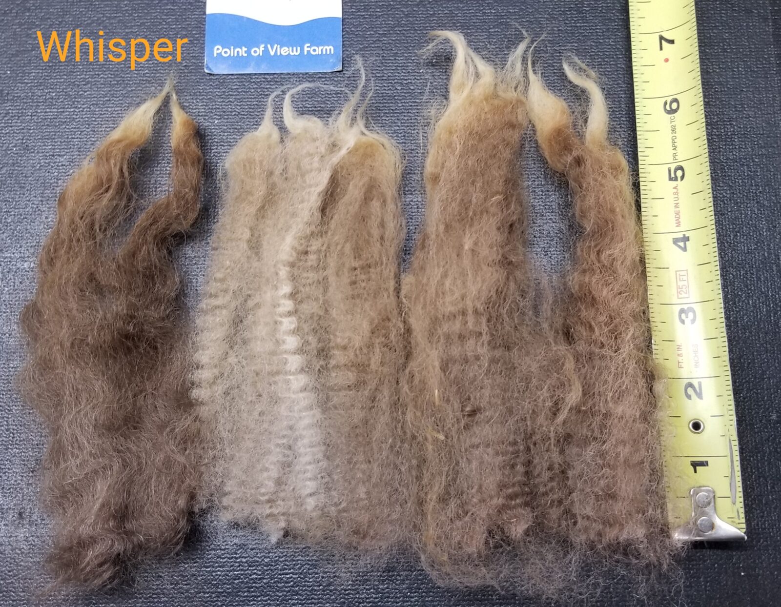 FINNSHEEP Raw Fleece, Whisper 2021, 6 pounds 2.2 ounces, brown, free