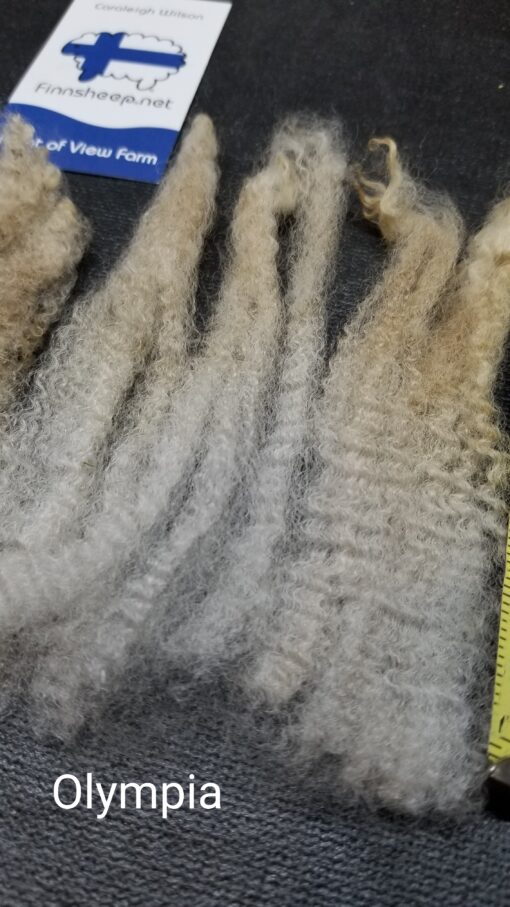 A close up of some hair on the floor