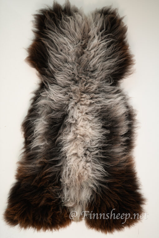 A furry animal is shown from the back.