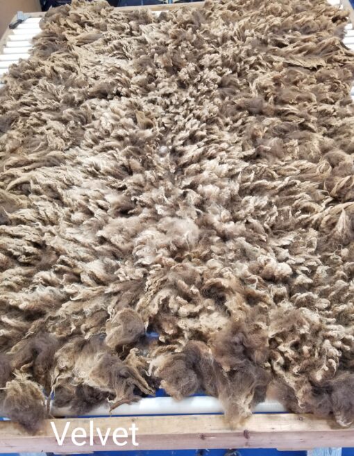 A close up of the fur on a rug