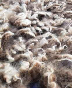 A close up of some fur on the ground