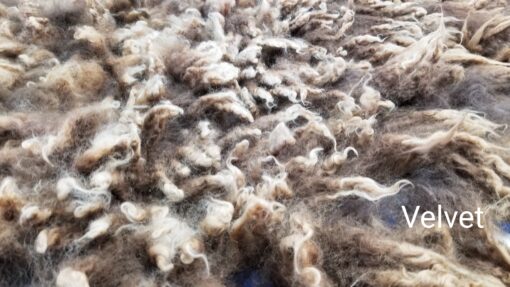 A close up of some fur on the ground