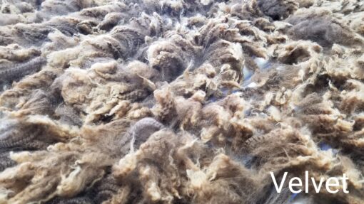 A close up of some fur on the ground