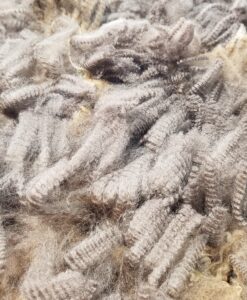 A pile of feathers on top of the floor.