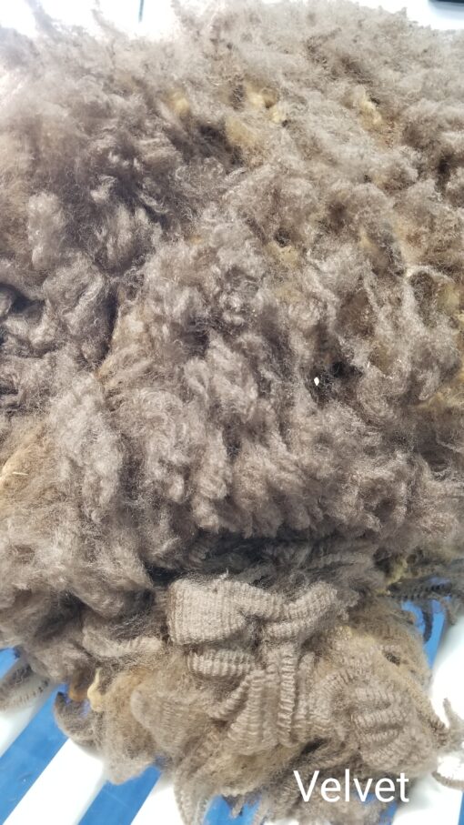 A pile of wool is shown in this picture.