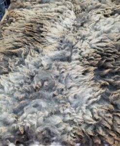 A close up of the fur on a sheep