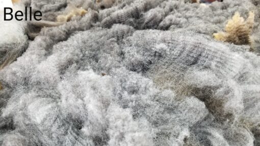 A pile of wool that is very soft and fuzzy.