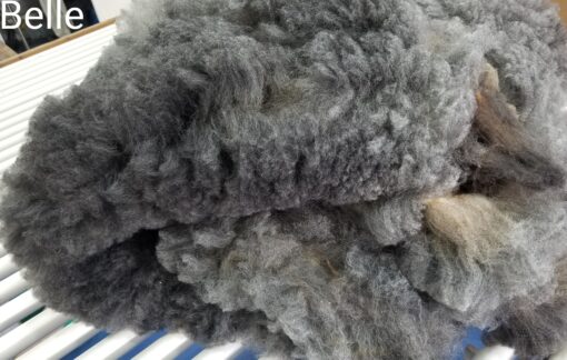 A close up of the fur on a blanket