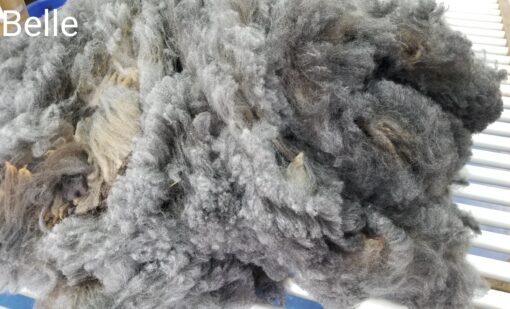 A close up of the pile of wool