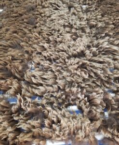 A close up of the carpet with many brown feathers