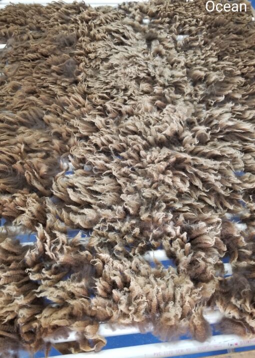 A close up of the carpet with many brown feathers