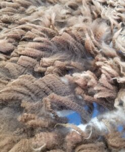 A close up of some brown fur