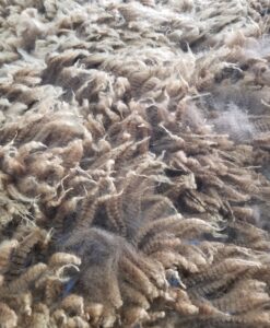 A close up of the fur on a rug