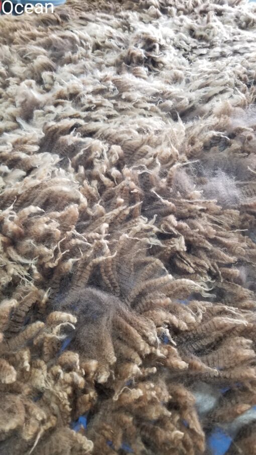 A close up of the fur on a rug