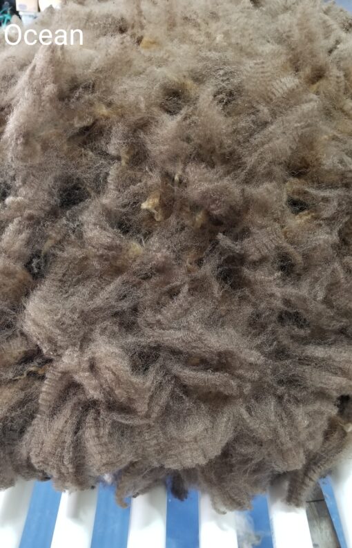 A close up of the fur on a sheep