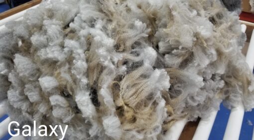 A close up of some white and brown wool