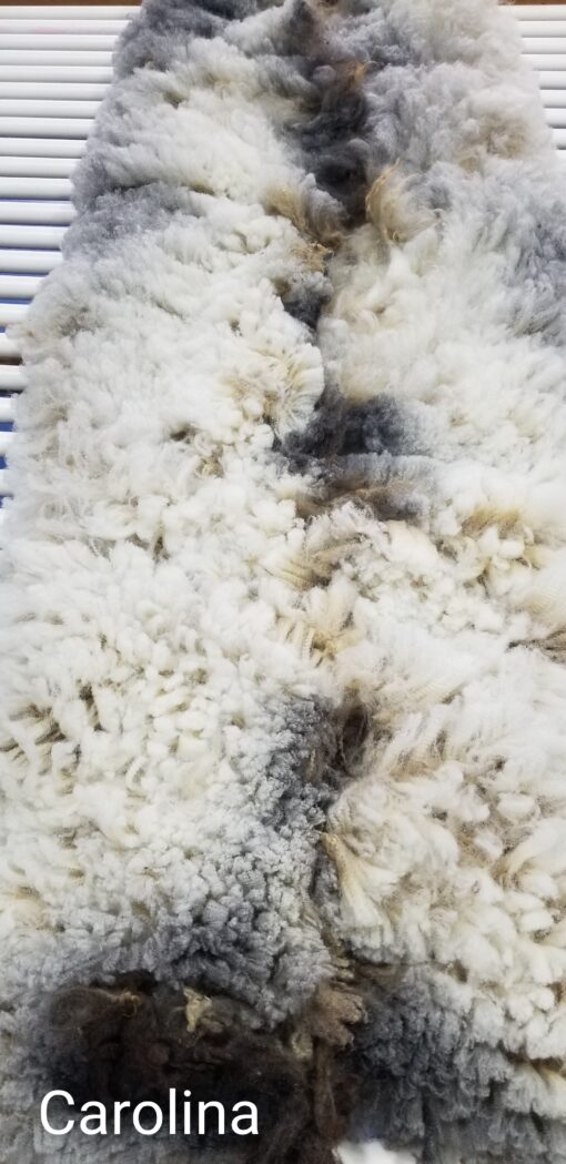 A close up of some sort of animal fur.