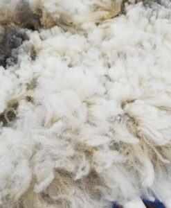 A pile of white wool is shown.