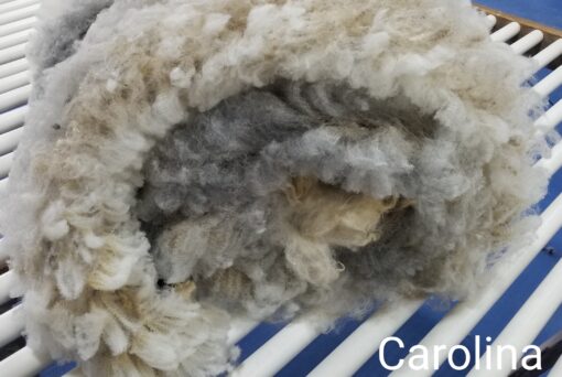 A close up of the wool on a cat.