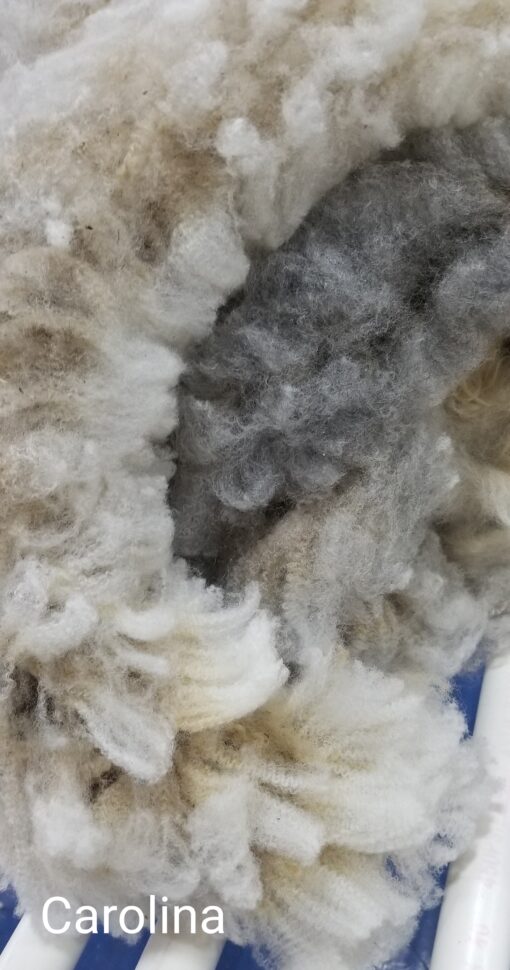 A close up of some wool in the air