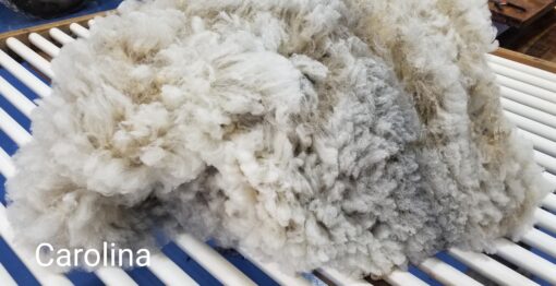 A close up of some white stuff in a bowl