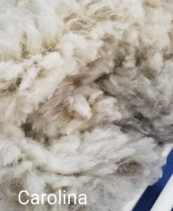 A close up of the wool in carolina