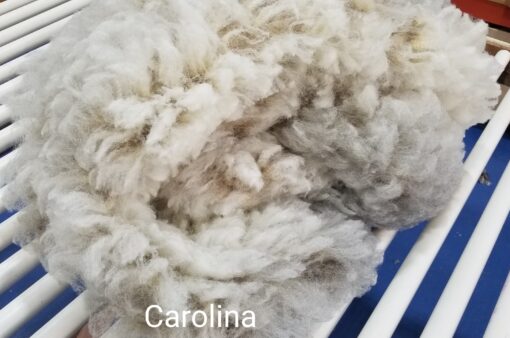 A close up of the wool in carolina