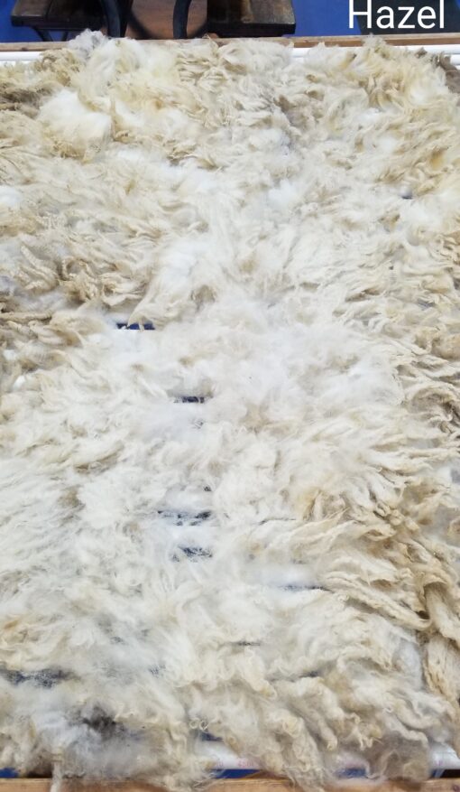 A white rug with some fur on it