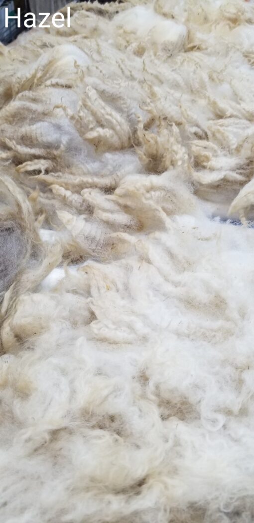 A pile of white wool in the middle of a room.