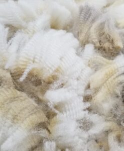 A close up of some white feathers on a wall