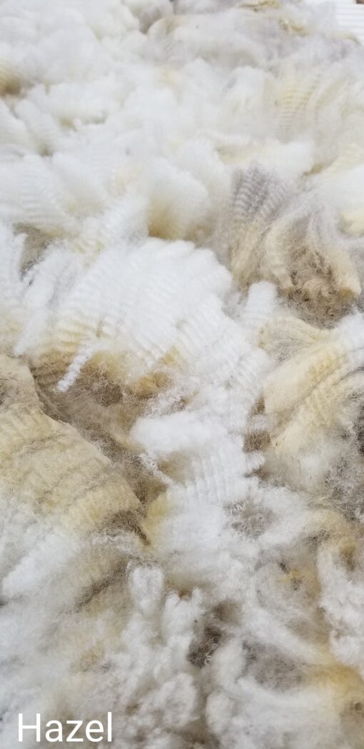 A close up of some white feathers on a wall