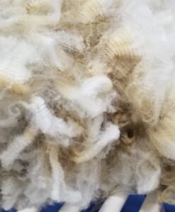 A close up of some white and brown wool