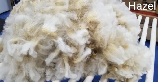 A close up of some white and brown wool