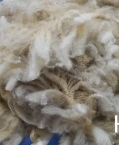 A close up of some white and brown wool