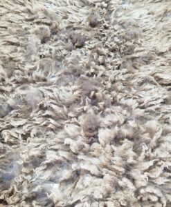 A pile of animal fur on the ground.