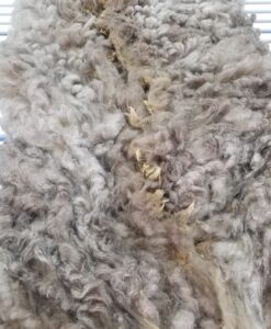 A close up of the fur on a blanket