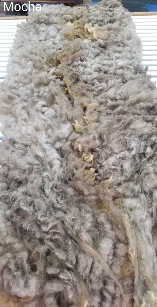 A close up of the fur on a blanket