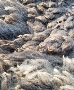 A close up of some sheep wool