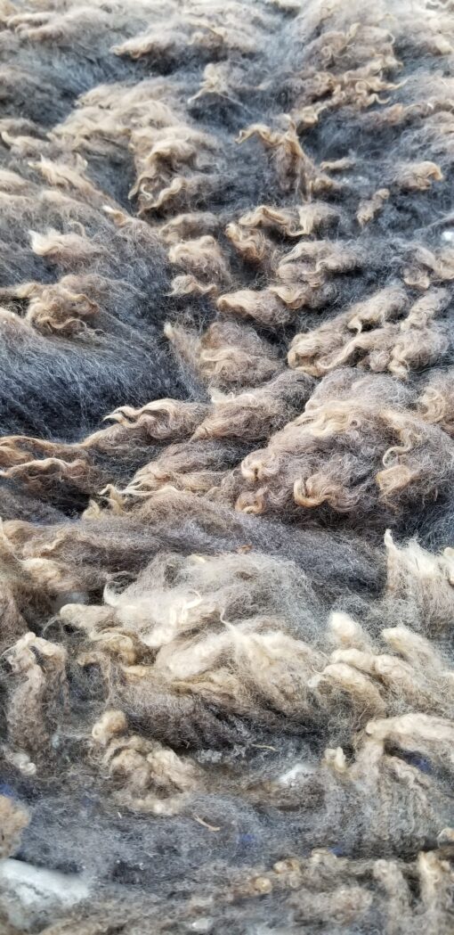 A close up of some sheep wool