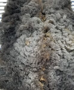 A close up of the fur on a tree