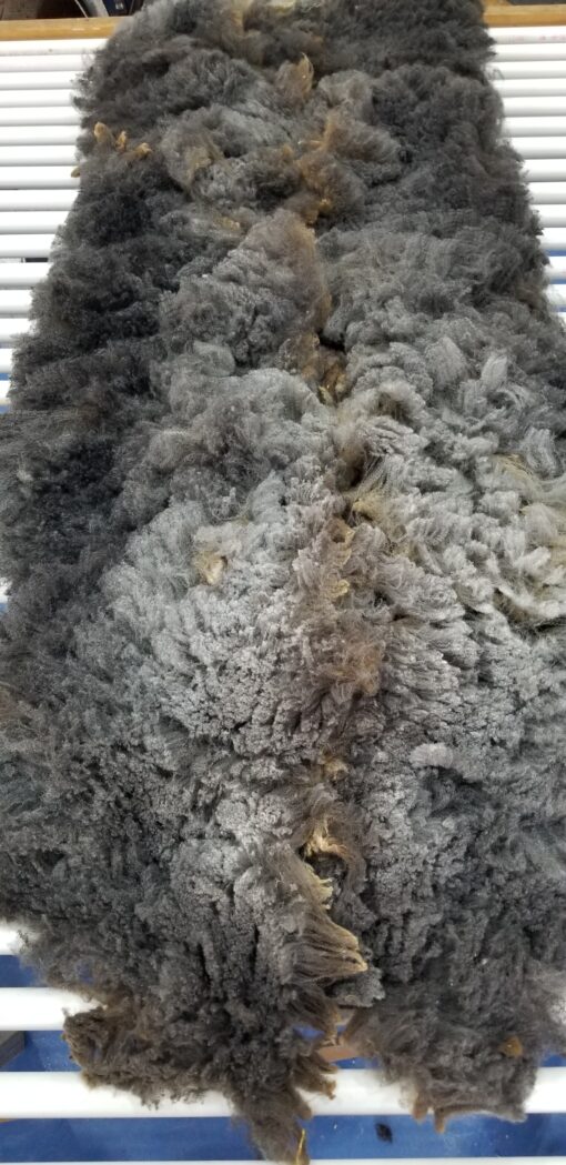 A close up of the fur on a tree