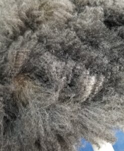 A close up of the fur on a sheep.