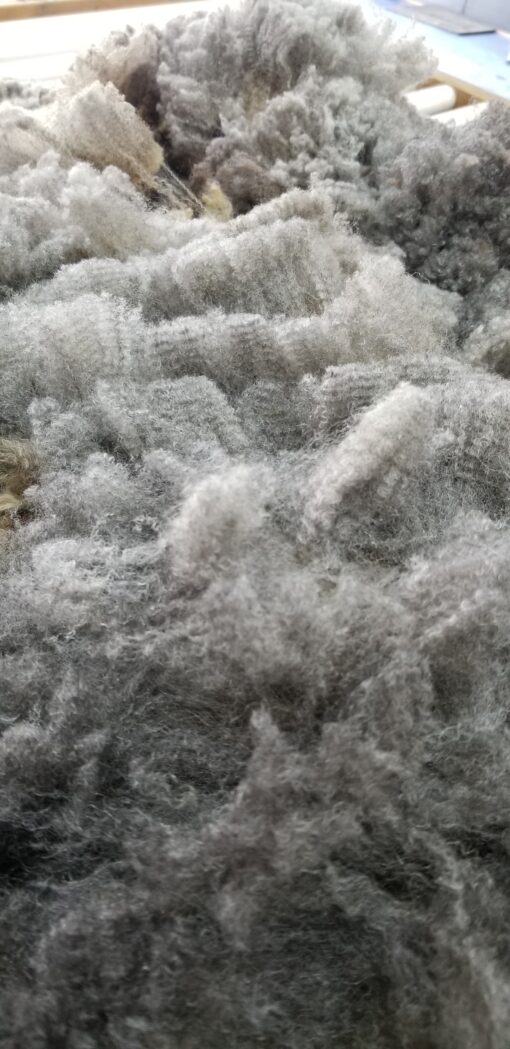 A pile of white and gray wool in the dirt.