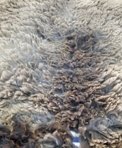 A close up of the fur on a rug