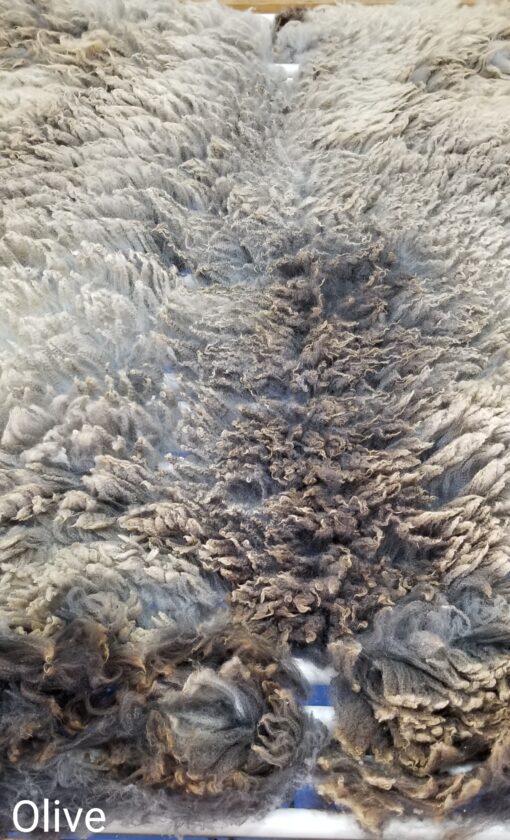 A close up of the fur on a rug