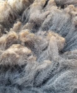 A close up of some sort of animal fur.