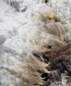 A close up of some white and brown fur