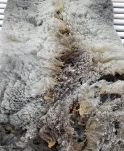 A close up of the fur on a dog coat